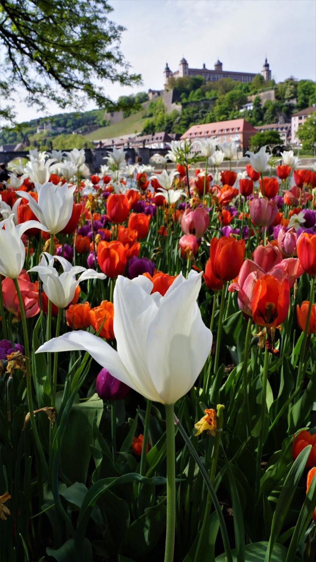 Best Western Hotel Wuerzburg-Sued Luaran gambar